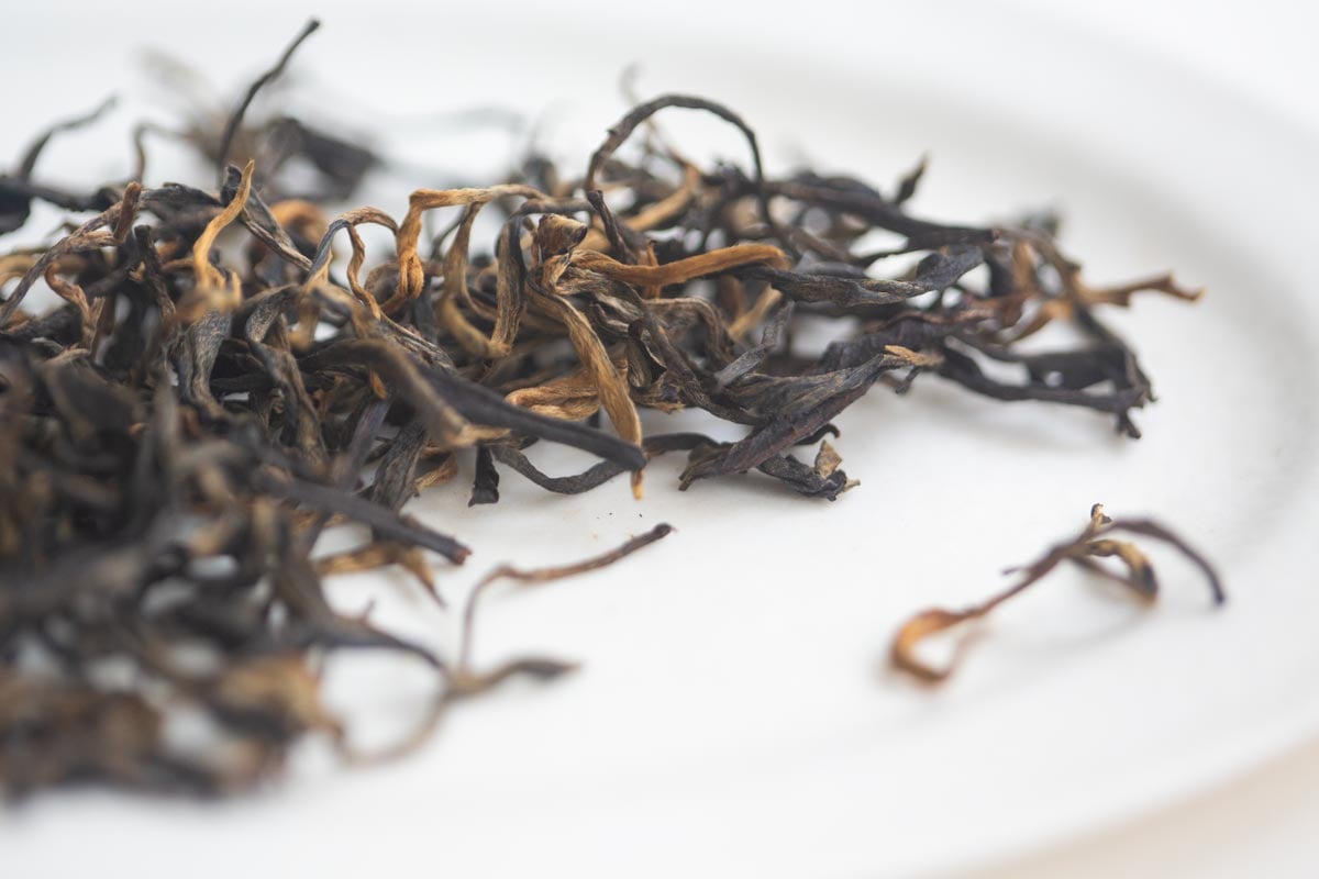 plum beauty 2026 spring mengsong organic black tea 4 | BITTERLEAF TEAS