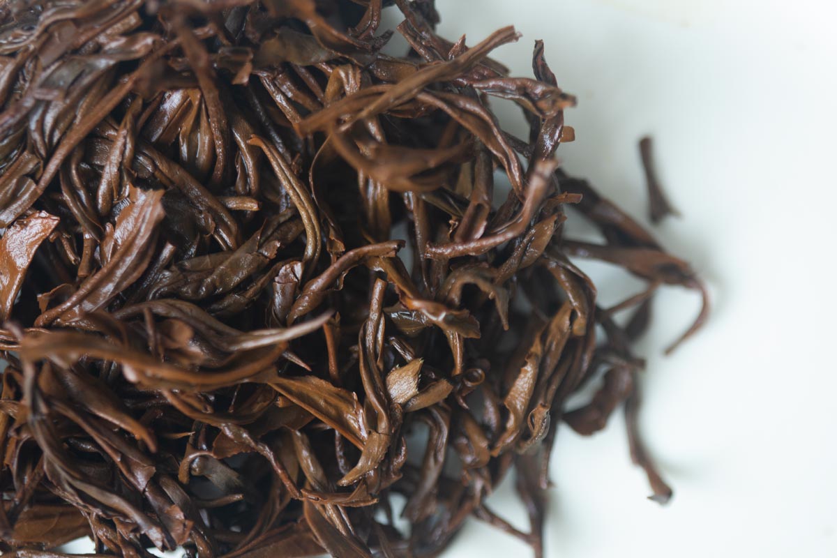 plum beauty 2026 spring mengsong organic black tea 5 | BITTERLEAF TEAS plum beauty 2026 spring mengsong organic black tea 5 | BITTERLEAF TEAS