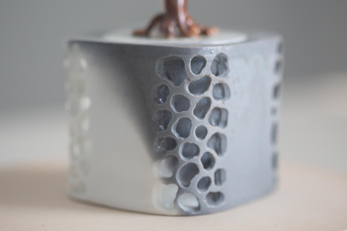 reef wood fired houhin i 14 | BITTERLEAF TEAS