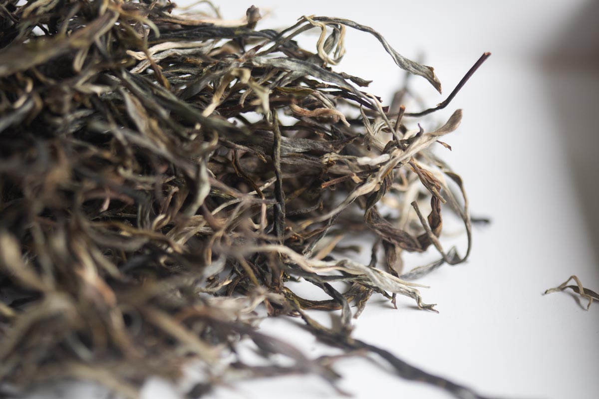 3x 2026 spring laomane raw puer 3 | BITTERLEAF TEAS 3x 2026 spring laomane raw puer 3 | BITTERLEAF TEAS
