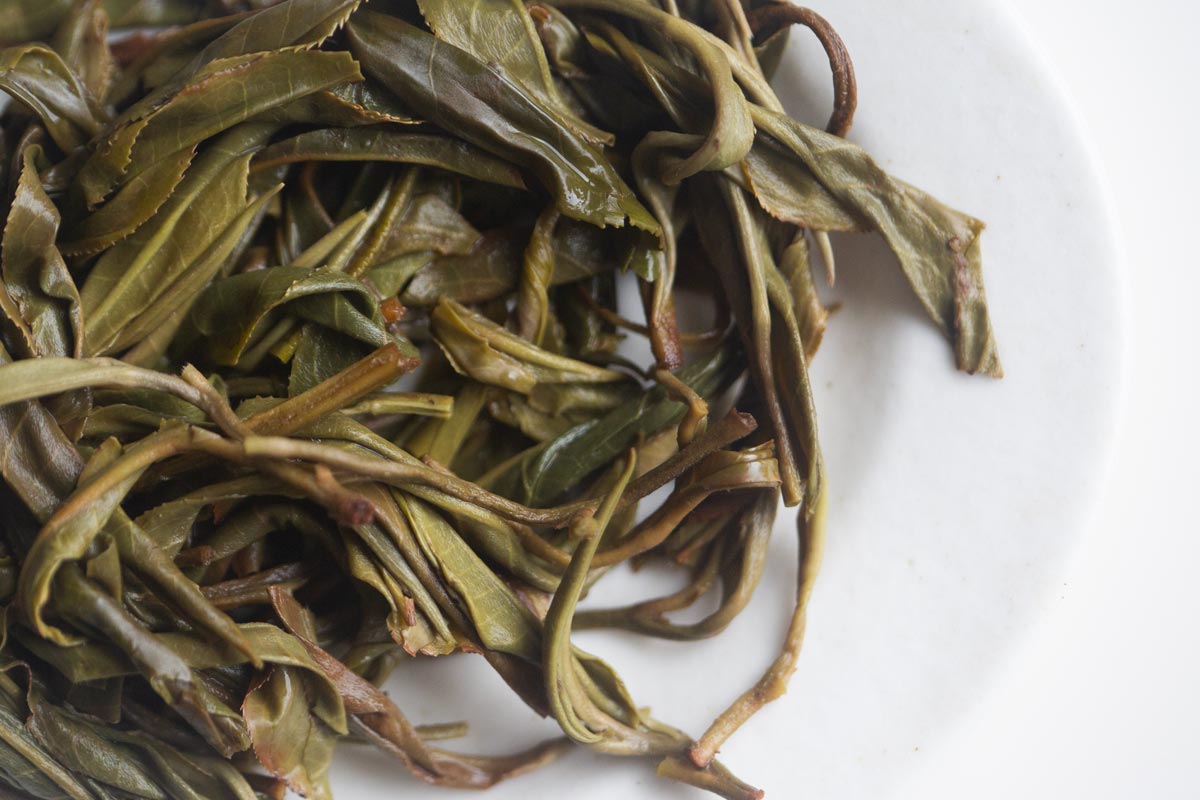 3x 2026 spring laomane raw puer 4 | BITTERLEAF TEAS 3x 2026 spring laomane raw puer 4 | BITTERLEAF TEAS