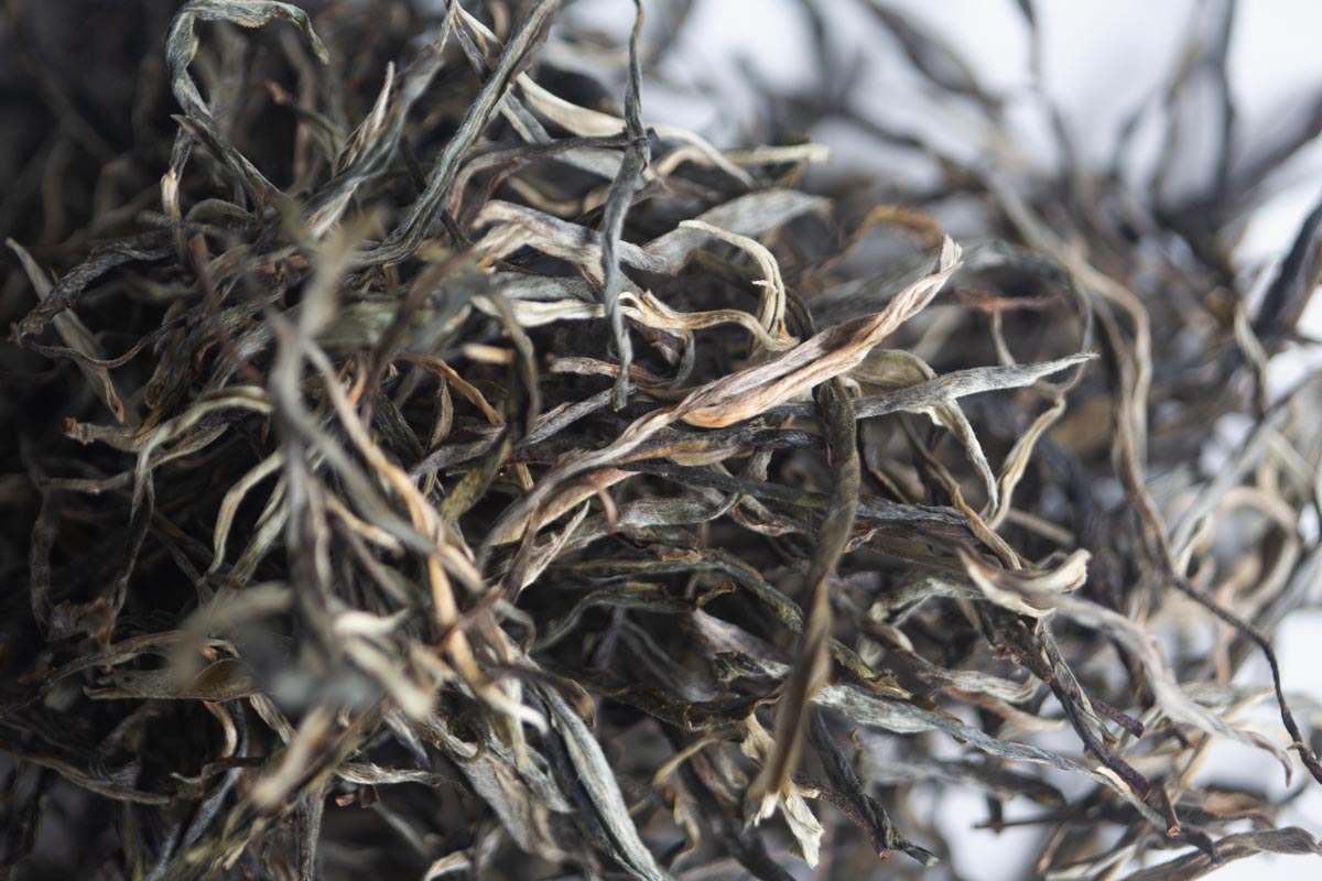 3x 2026 spring laomane raw puer 6 | BITTERLEAF TEAS 3x 2026 spring laomane raw puer 6 | BITTERLEAF TEAS