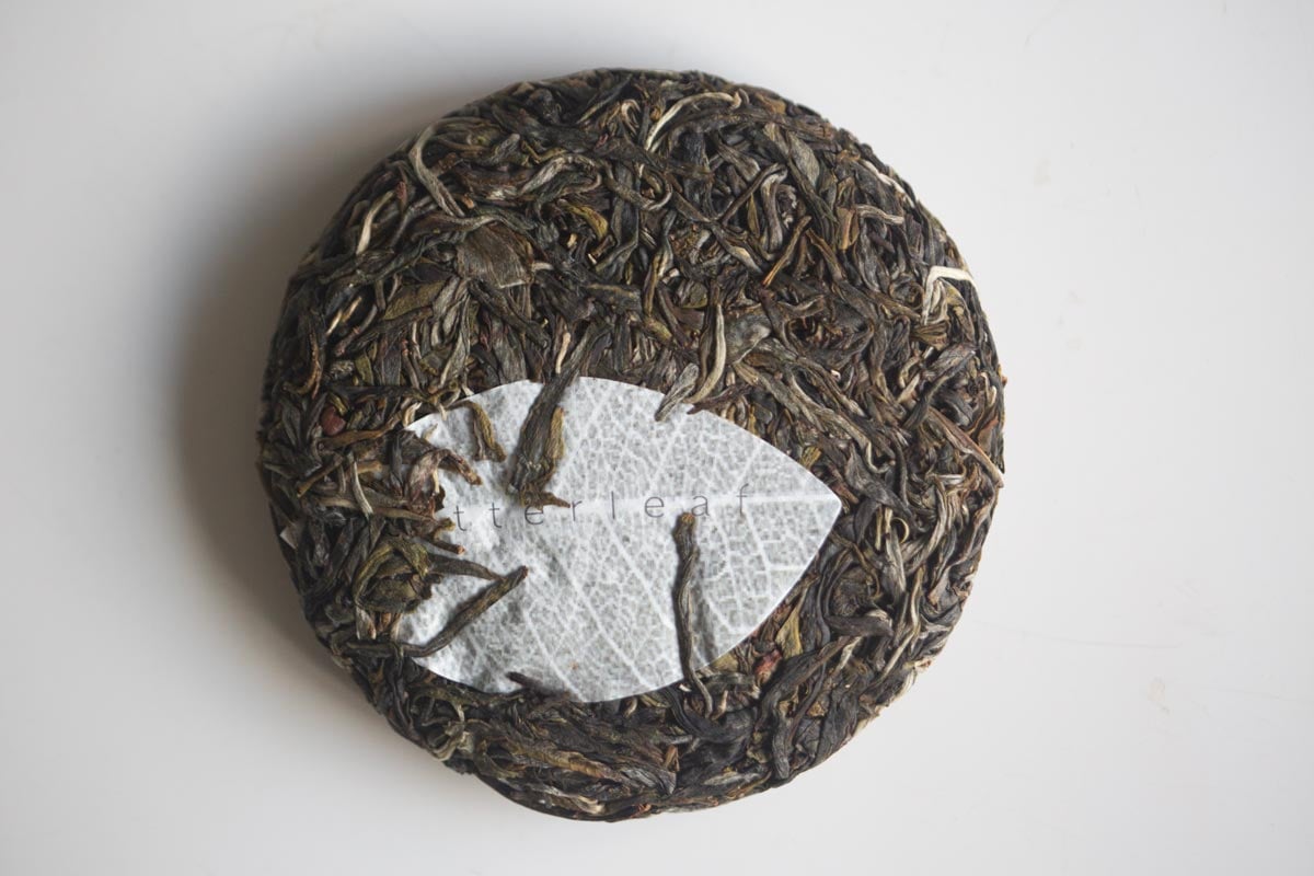 big old ass tree 2026 spring hekai raw puer 4 | BITTERLEAF TEAS