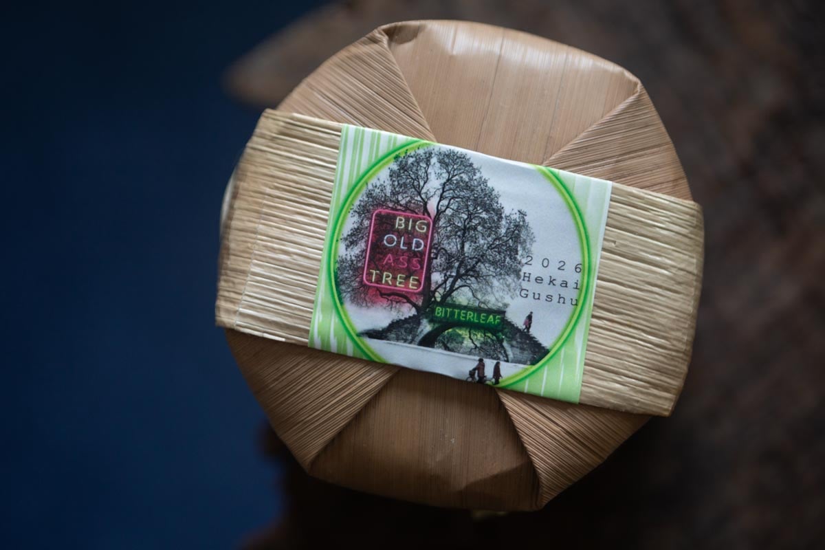big old ass tree 2026 spring hekai raw puer 6 | BITTERLEAF TEAS
