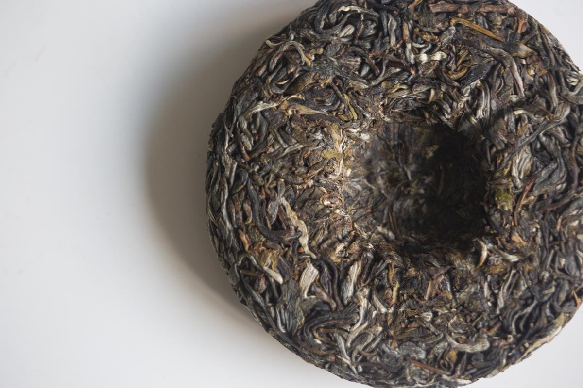 big old ass tree 2026 spring hekai raw puer 8 | BITTERLEAF TEAS
