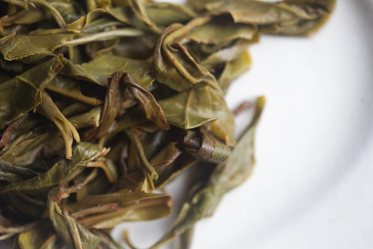 bitter end pro 2026 spring laomane raw puer 5 | BITTERLEAF TEAS bitter end pro 2026 spring laomane raw puer 5 | BITTERLEAF TEAS