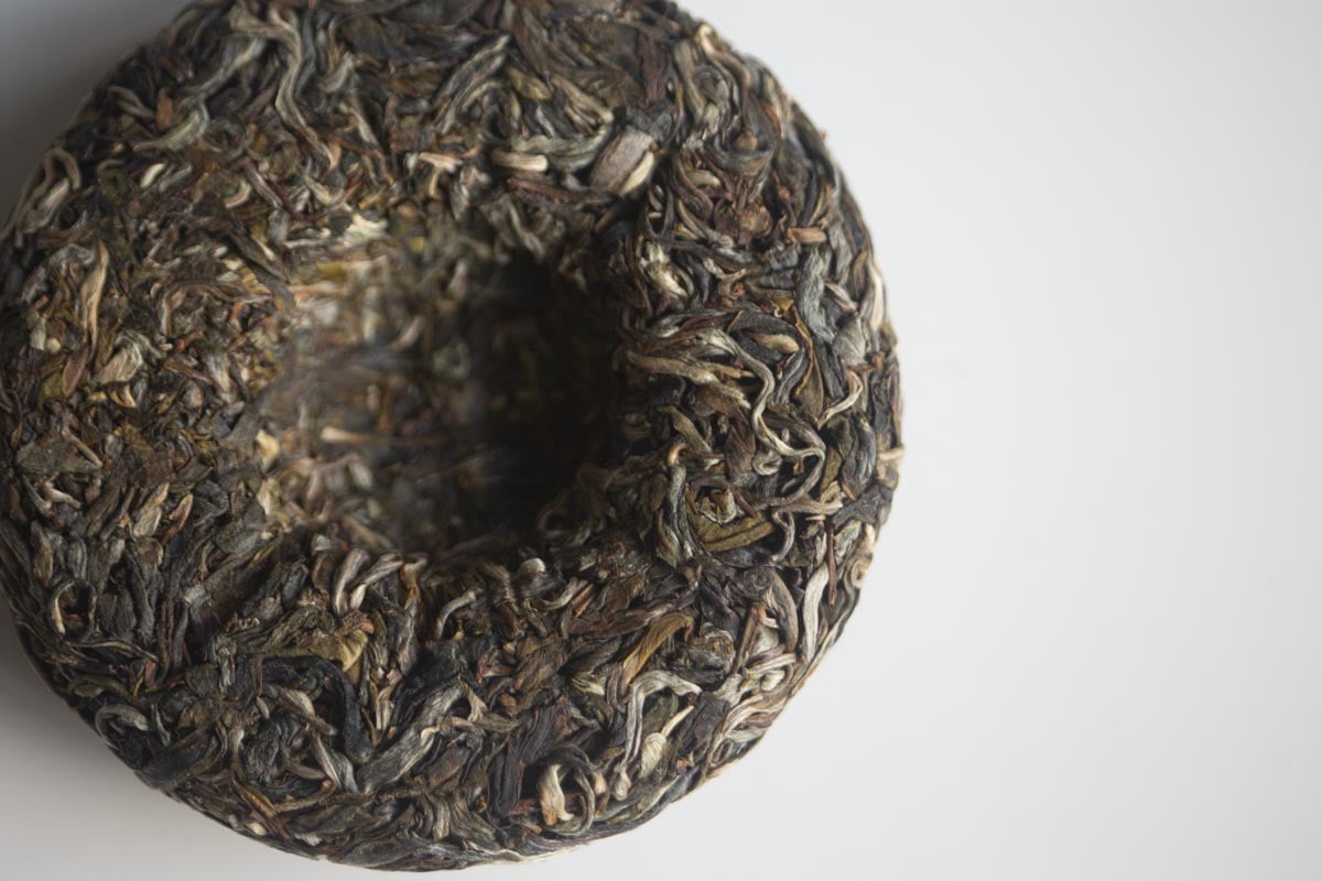 bitter end pro 2026 spring laomane raw puer 8 | BITTERLEAF TEAS bitter end pro 2026 spring laomane raw puer 8 | BITTERLEAF TEAS