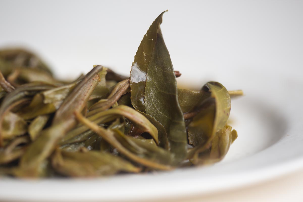 bitter end pro 2026 spring laomane raw puer 9 | BITTERLEAF TEAS bitter end pro 2026 spring laomane raw puer 9 | BITTERLEAF TEAS