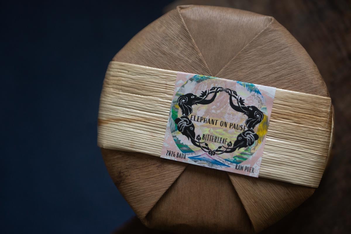 elephant on pause 2026 spring bada raw puer 6 | BITTERLEAF TEAS