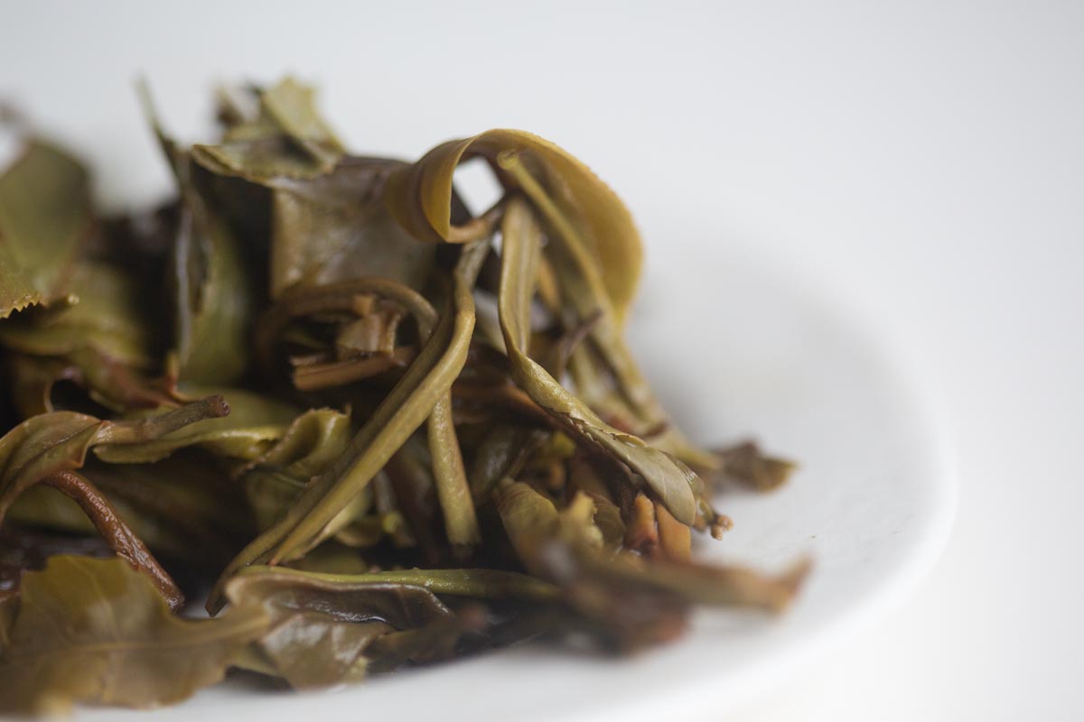 horse of fortune raw puer 11 | BITTERLEAF TEAS horse of fortune raw puer 11 | BITTERLEAF TEAS