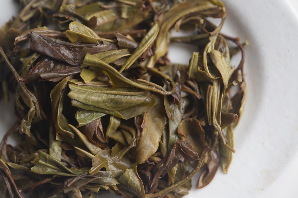 horse of fortune raw puer 6 | BITTERLEAF TEAS horse of fortune raw puer 6 | BITTERLEAF TEAS