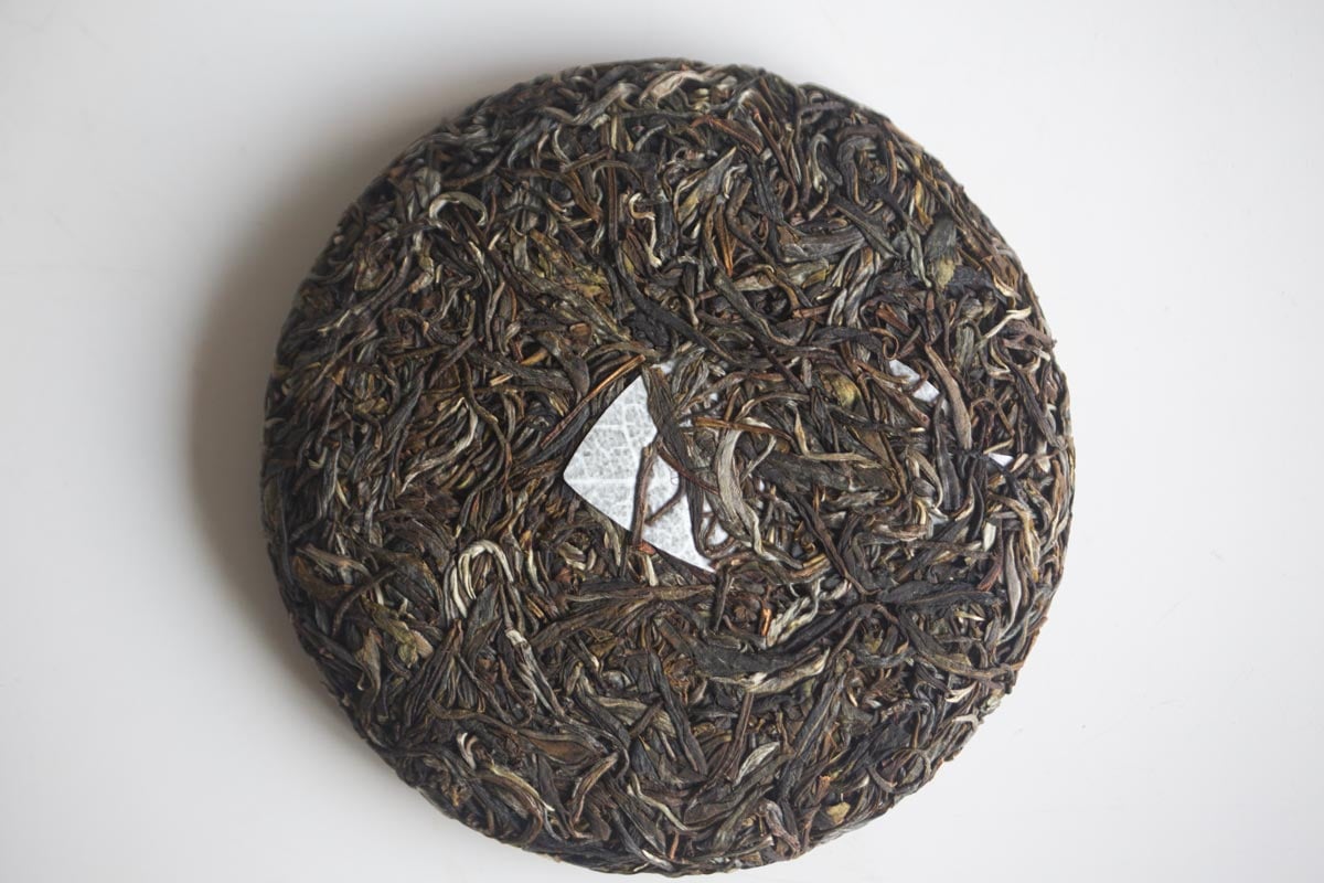 in bloom 2026 spring jingmai raw puer 4 | BITTERLEAF TEAS