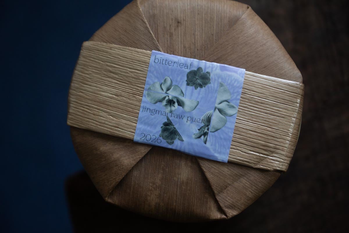 in bloom 2026 spring jingmai raw puer 6 | BITTERLEAF TEAS
