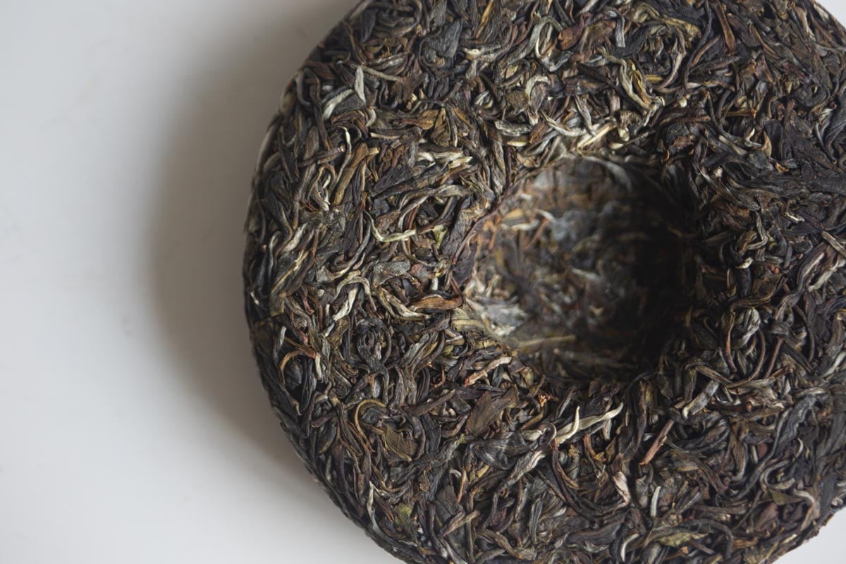 in bloom 2026 spring jingmai raw puer 8 | BITTERLEAF TEAS