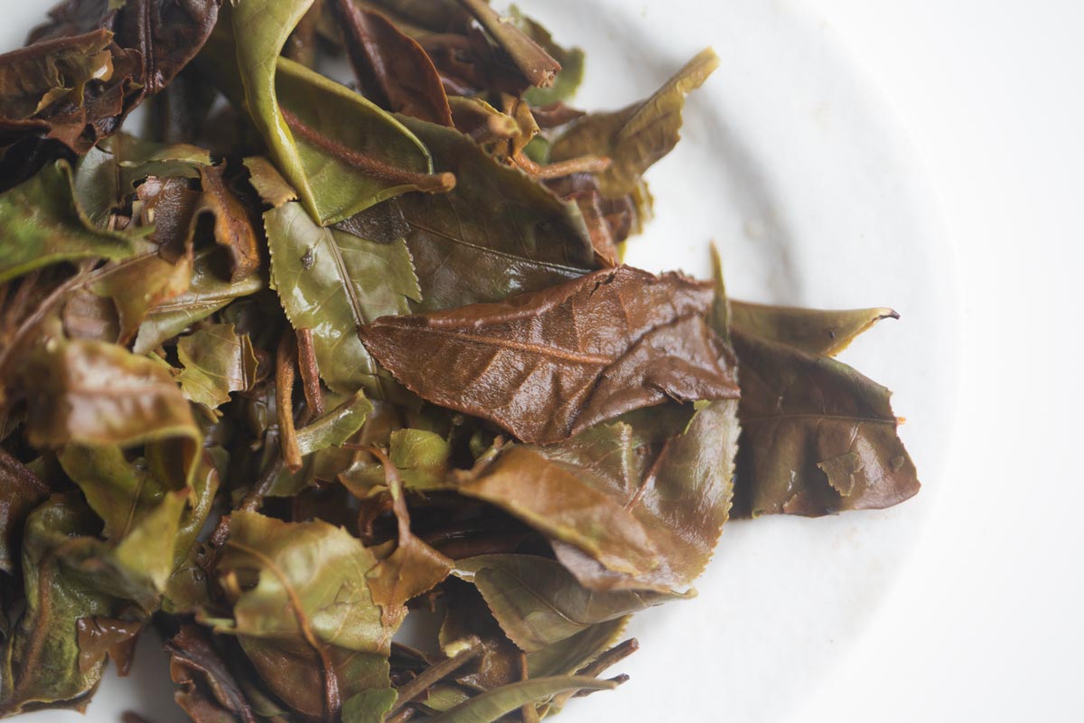 ive got the power 2026 spring laomane white tea 5 | BITTERLEAF TEAS