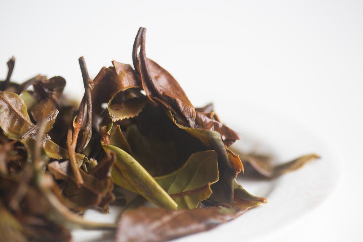 ive got the power 2026 spring laomane white tea 9 | BITTERLEAF TEAS