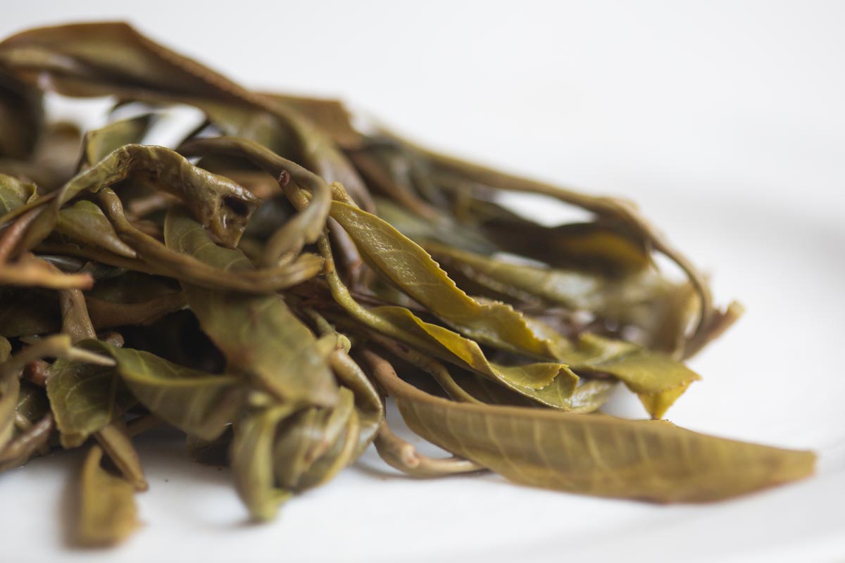 natural habitat 2026 spring huazhuliangzi raw puer 5 | BITTERLEAF TEAS