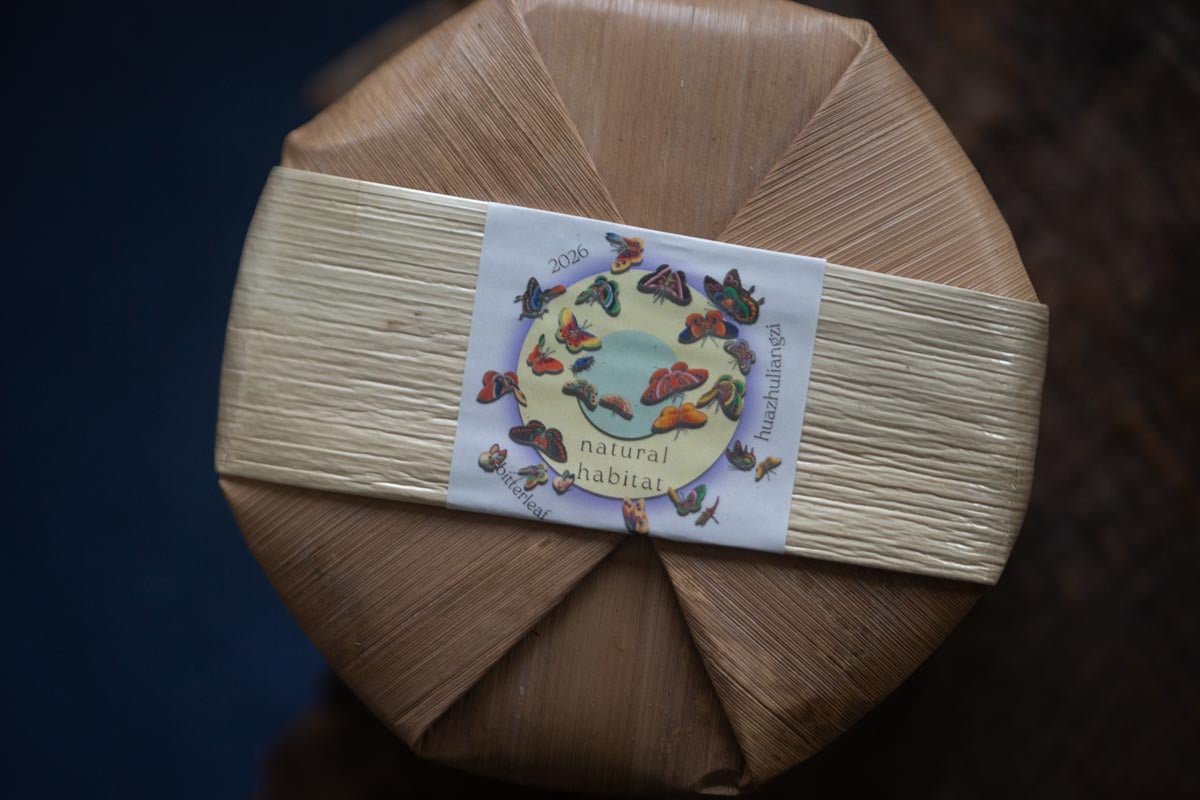 natural habitat 2026 spring huazhuliangzi raw puer 6 | BITTERLEAF TEAS