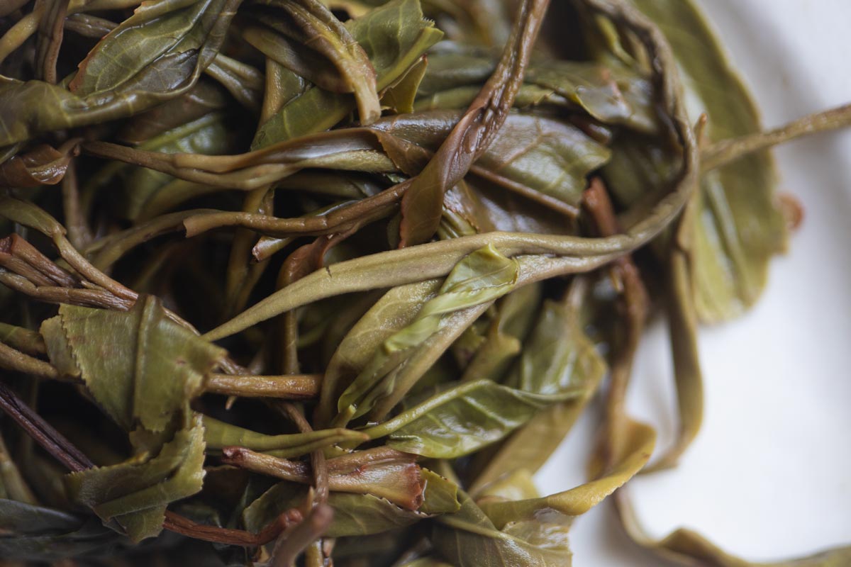 natural habitat 2026 spring huazhuliangzi raw puer 9 | BITTERLEAF TEAS