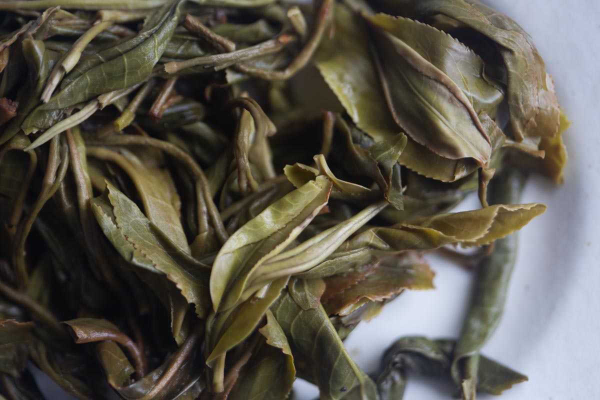 natural habitat reserve 2026 spring huazhuliangzi raw puer 5 | BITTERLEAF TEAS