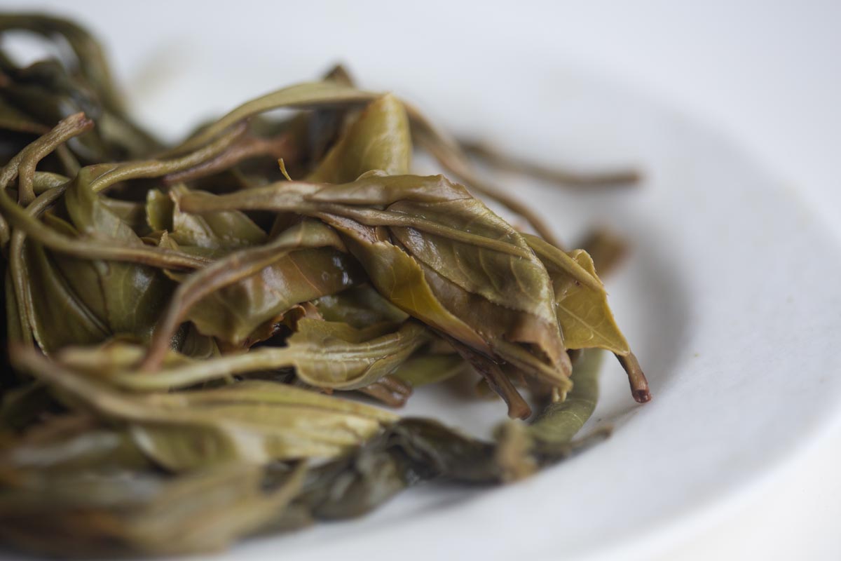 natural habitat reserve 2026 spring huazhuliangzi raw puer 9 | BITTERLEAF TEAS