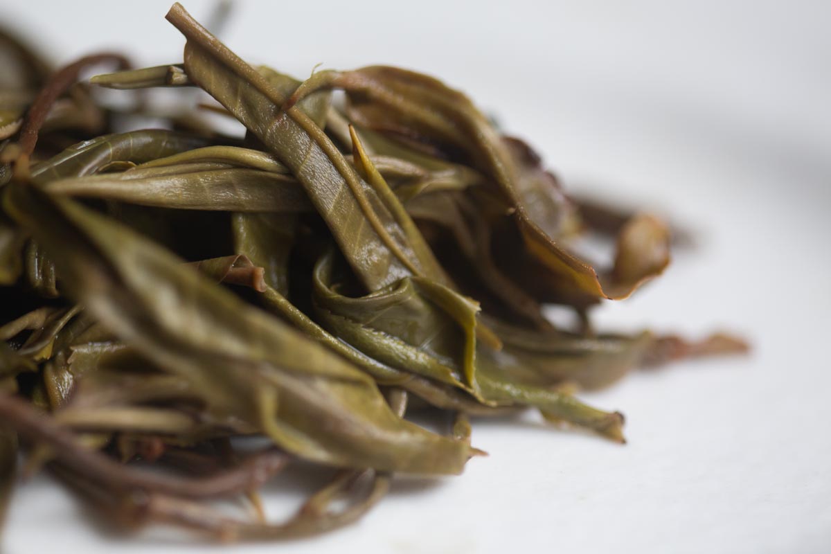 secret garden 2026 spring raw puer 5 | BITTERLEAF TEAS