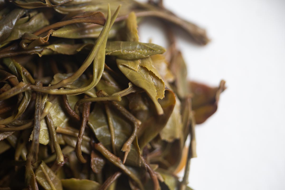 secret garden 2026 spring raw puer 9 | BITTERLEAF TEAS