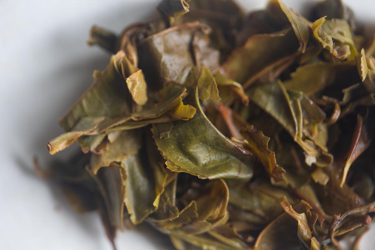 soft power 2026 spring laomane huangpian 5 | BITTERLEAF TEAS soft power 2026 spring laomane huangpian 5 | BITTERLEAF TEAS