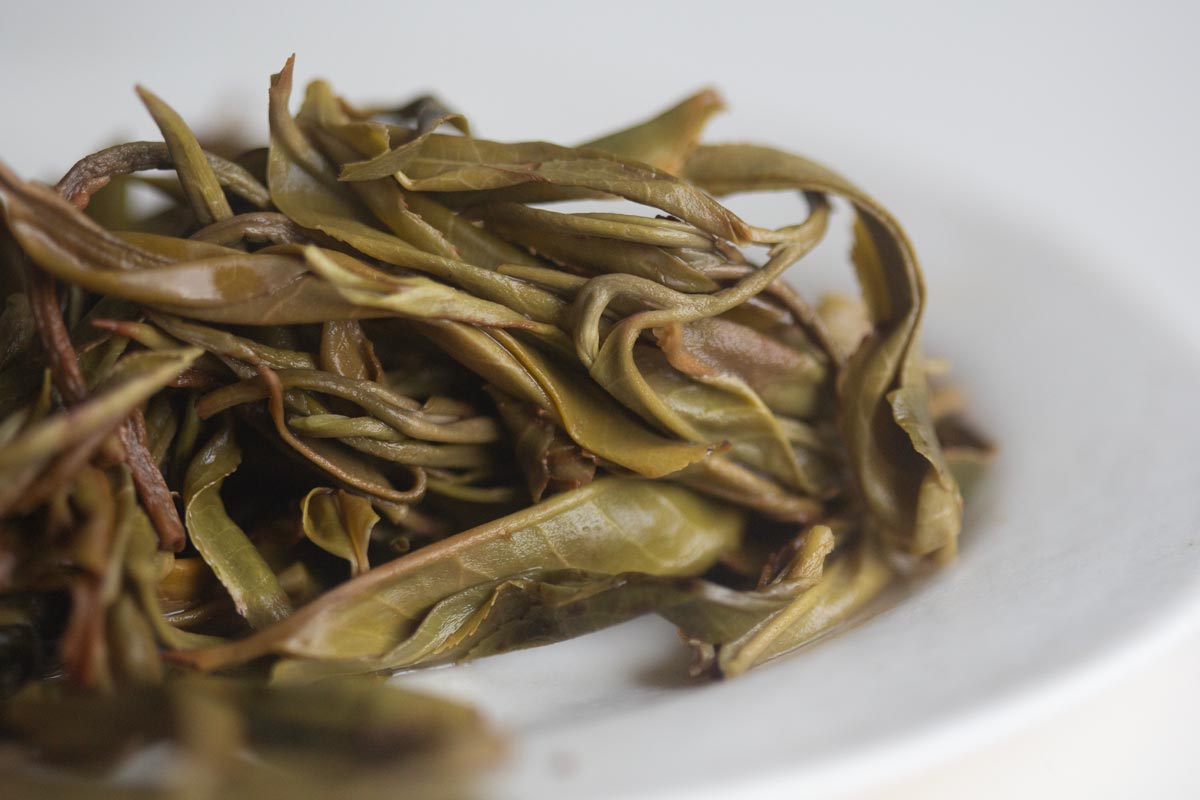 wanderlust 2026 spring daheishan raw puer 5 | BITTERLEAF TEAS wanderlust 2026 spring daheishan raw puer 5 | BITTERLEAF TEAS