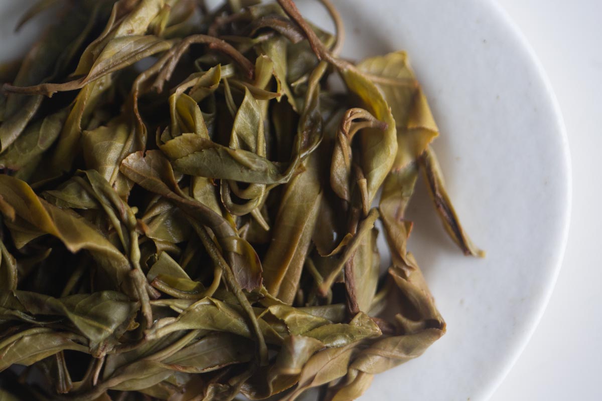 wanderlust 2026 spring daheishan raw puer 9 | BITTERLEAF TEAS wanderlust 2026 spring daheishan raw puer 9 | BITTERLEAF TEAS