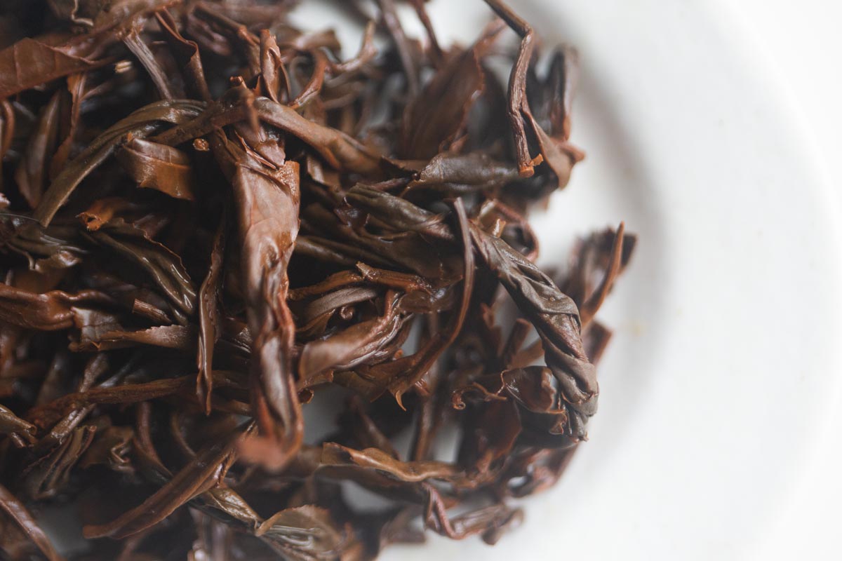year of the horse 2026 spring yiwu black tea 5 | BITTERLEAF TEAS year of the horse 2026 spring yiwu black tea 5 | BITTERLEAF TEAS