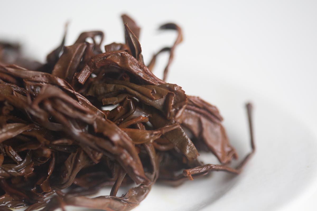 year of the horse 2026 spring yiwu black tea 9 | BITTERLEAF TEAS year of the horse 2026 spring yiwu black tea 9 | BITTERLEAF TEAS