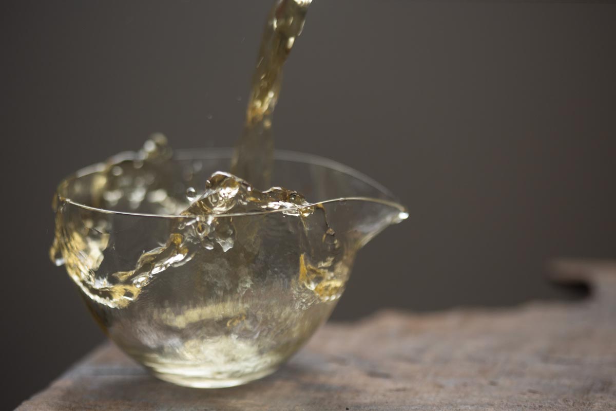 year of the horse 2026 spring yiwu white tea 3 | BITTERLEAF TEAS