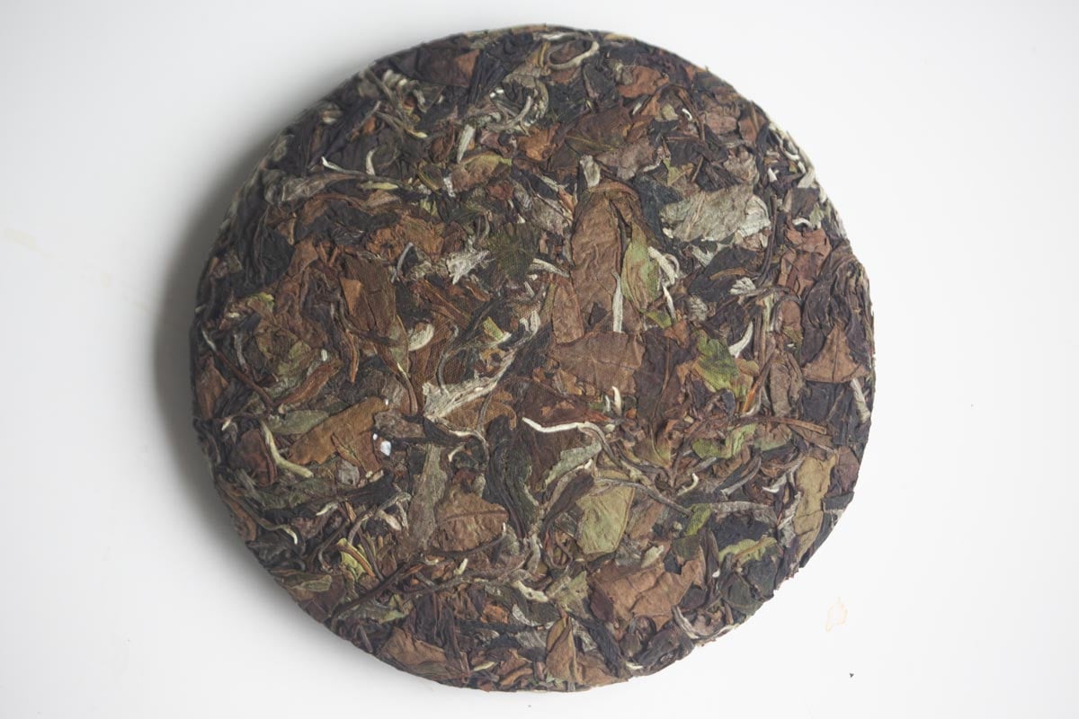 year of the horse 2026 spring yiwu white tea 4 | BITTERLEAF TEAS