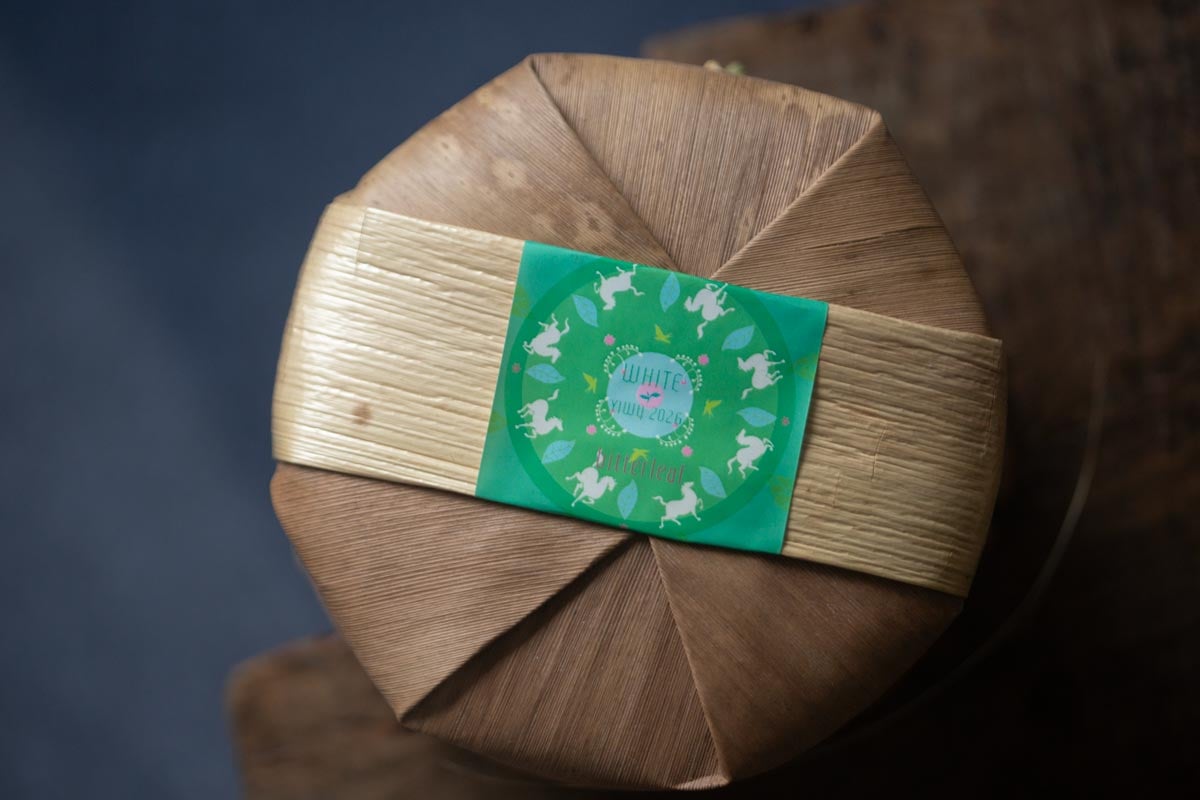 year of the horse 2026 spring yiwu white tea 6 | BITTERLEAF TEAS