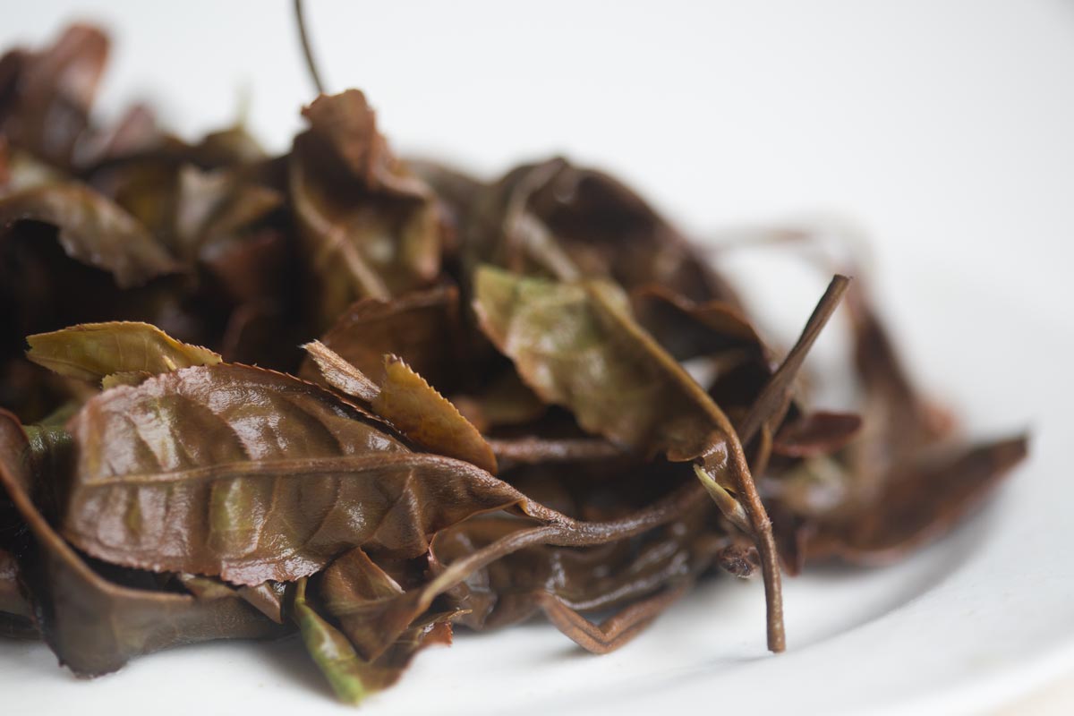 year of the horse 2026 spring yiwu white tea 9 | BITTERLEAF TEAS