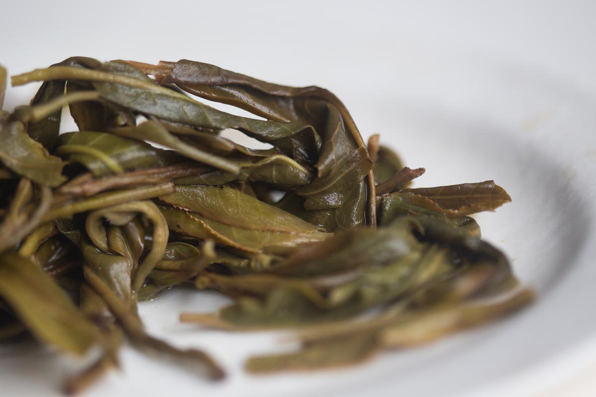 youre the best probably 2026 spring xinbanzhang raw puer 5 | BITTERLEAF TEAS