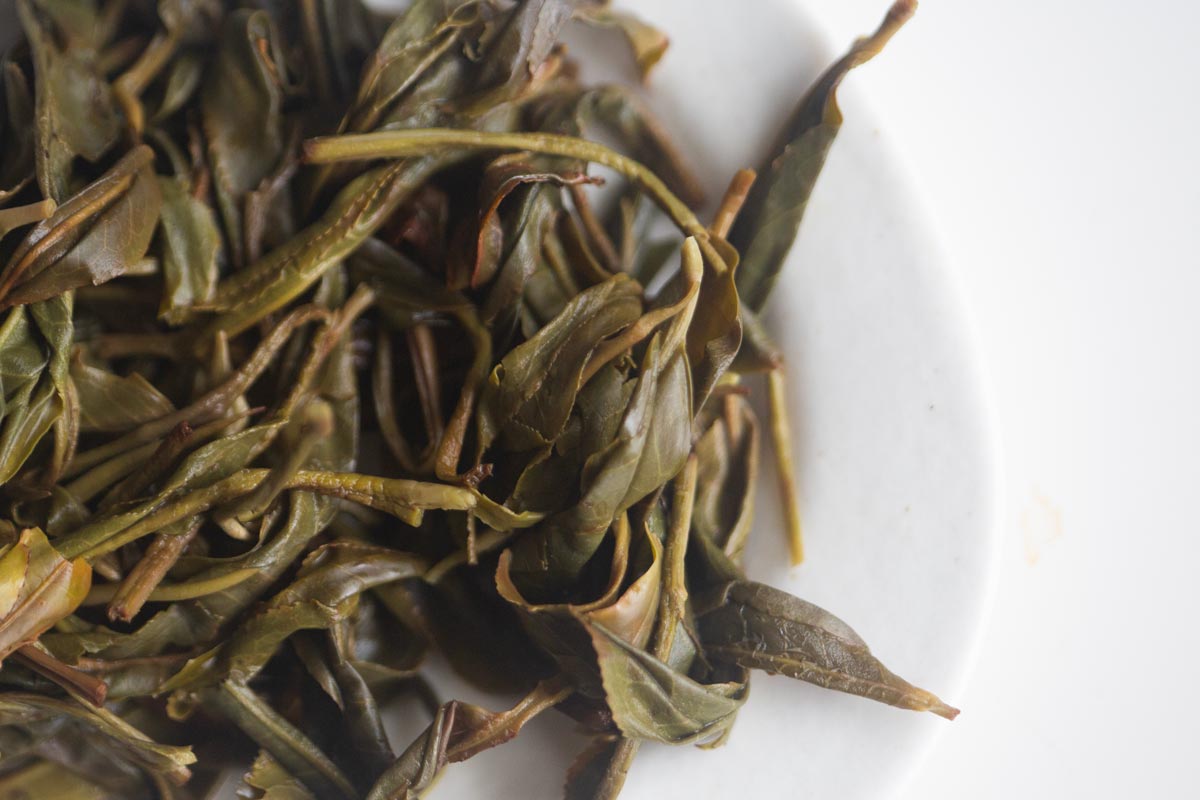 youre the best probably 2026 spring xinbanzhang raw puer 9 | BITTERLEAF TEAS