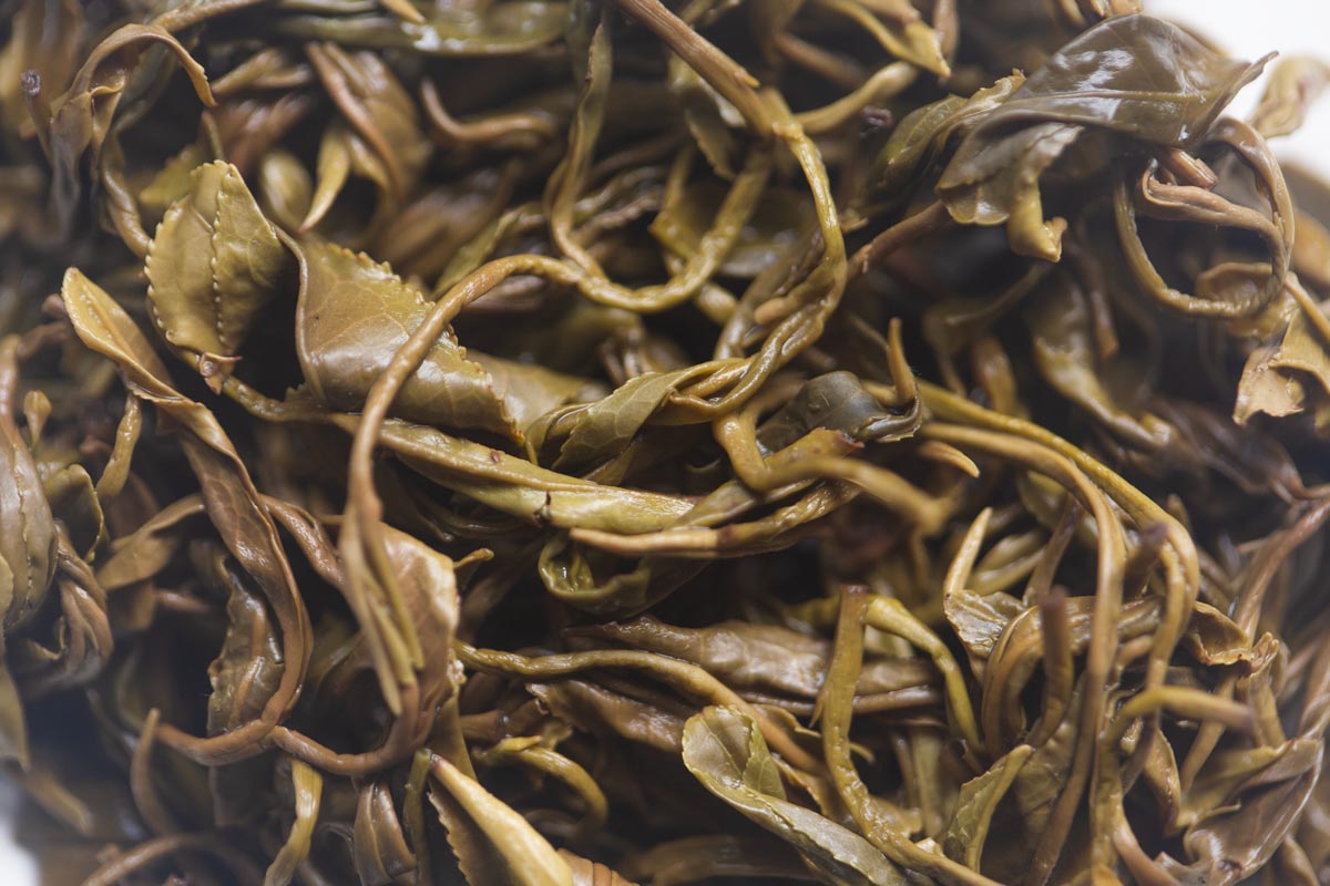 goldrush 2026 spring mengding yellow tea 3 | BITTERLEAF TEAS goldrush 2026 spring mengding yellow tea 3 | BITTERLEAF TEAS