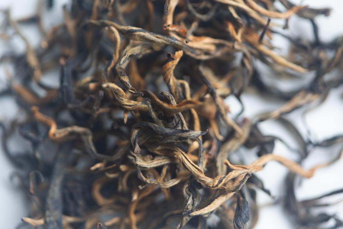 rice rice baby 2026 spring simao nuomixiang black tea 3 | BITTERLEAF TEAS rice rice baby 2026 spring simao nuomixiang black tea 3 | BITTERLEAF TEAS
