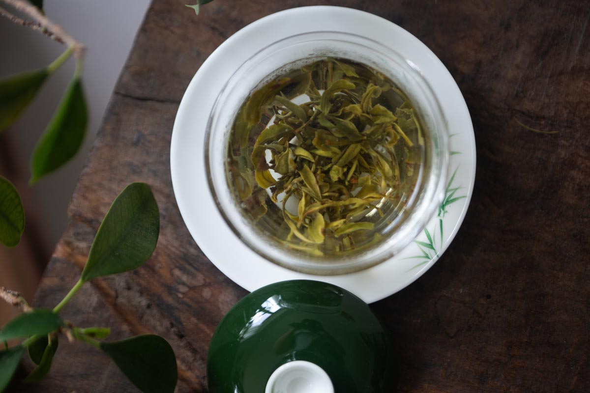 shadow green tea gaiwan 5 | BITTERLEAF TEAS
