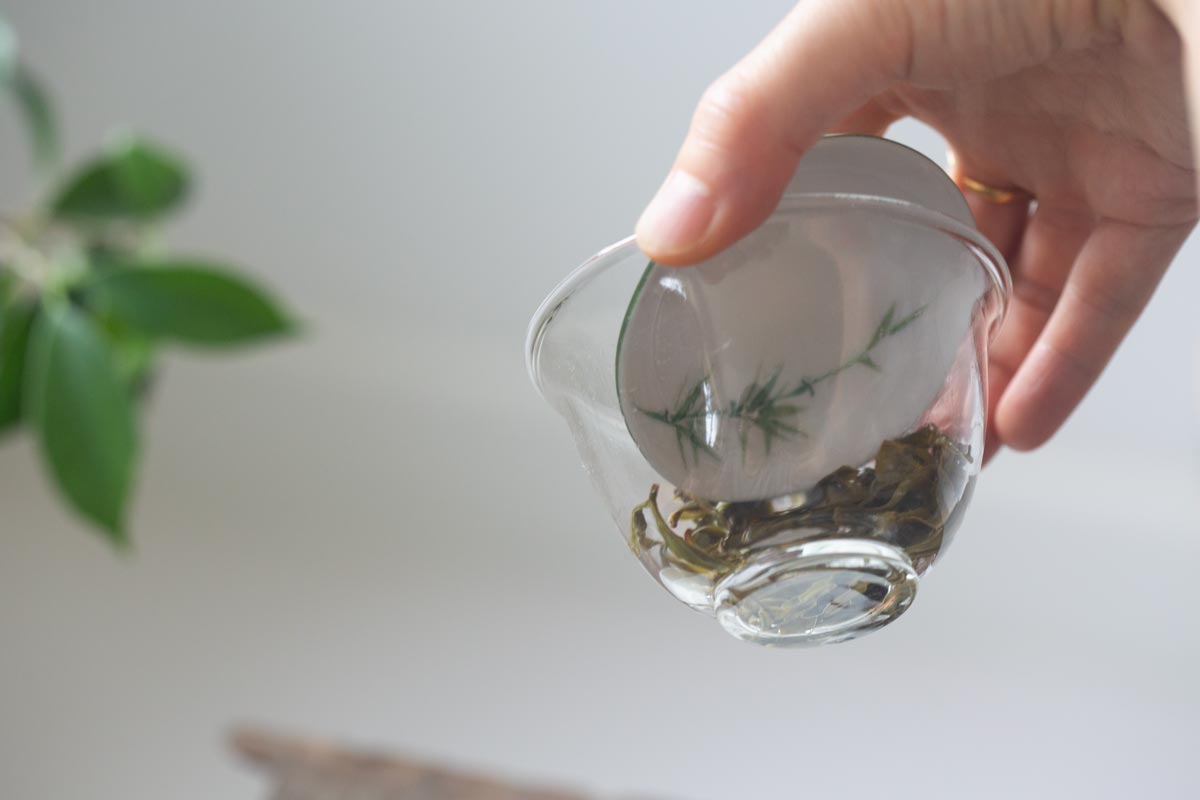shadow green tea gaiwan 8 | BITTERLEAF TEAS