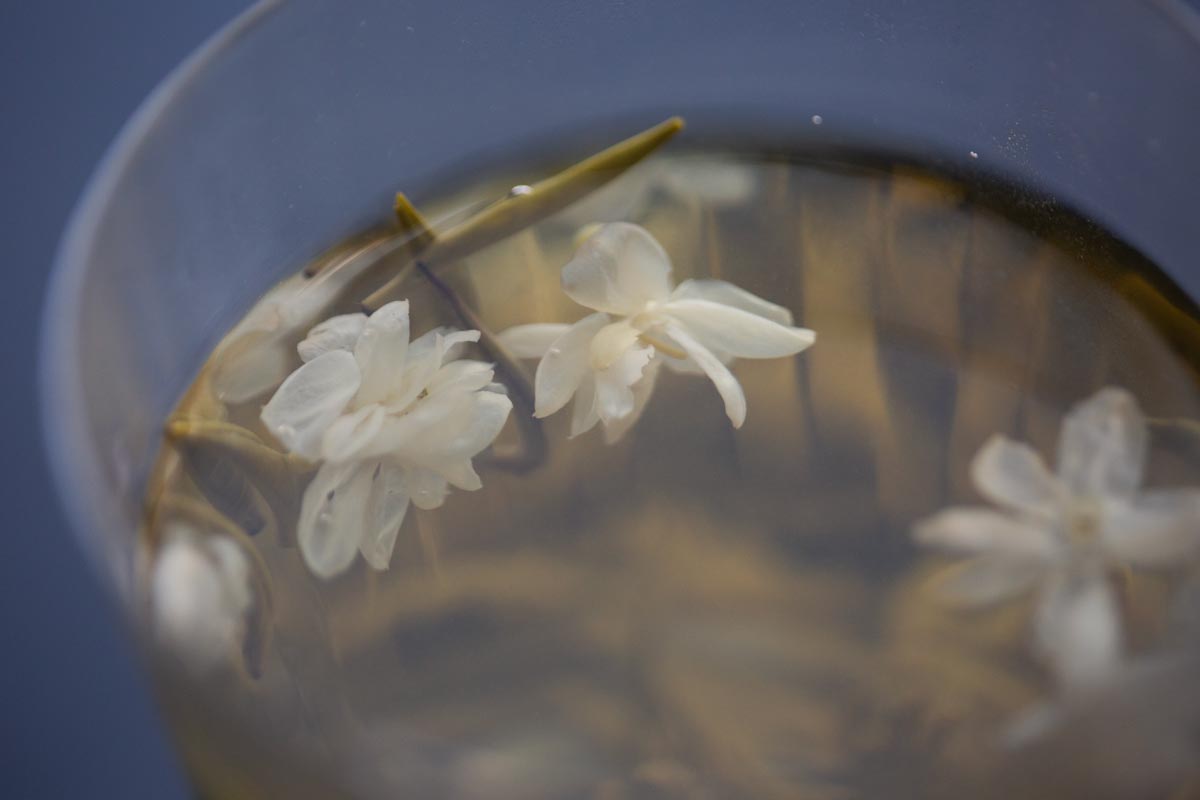 whisper in the night 2026 spring jasmine green tea 2 | BITTERLEAF TEAS