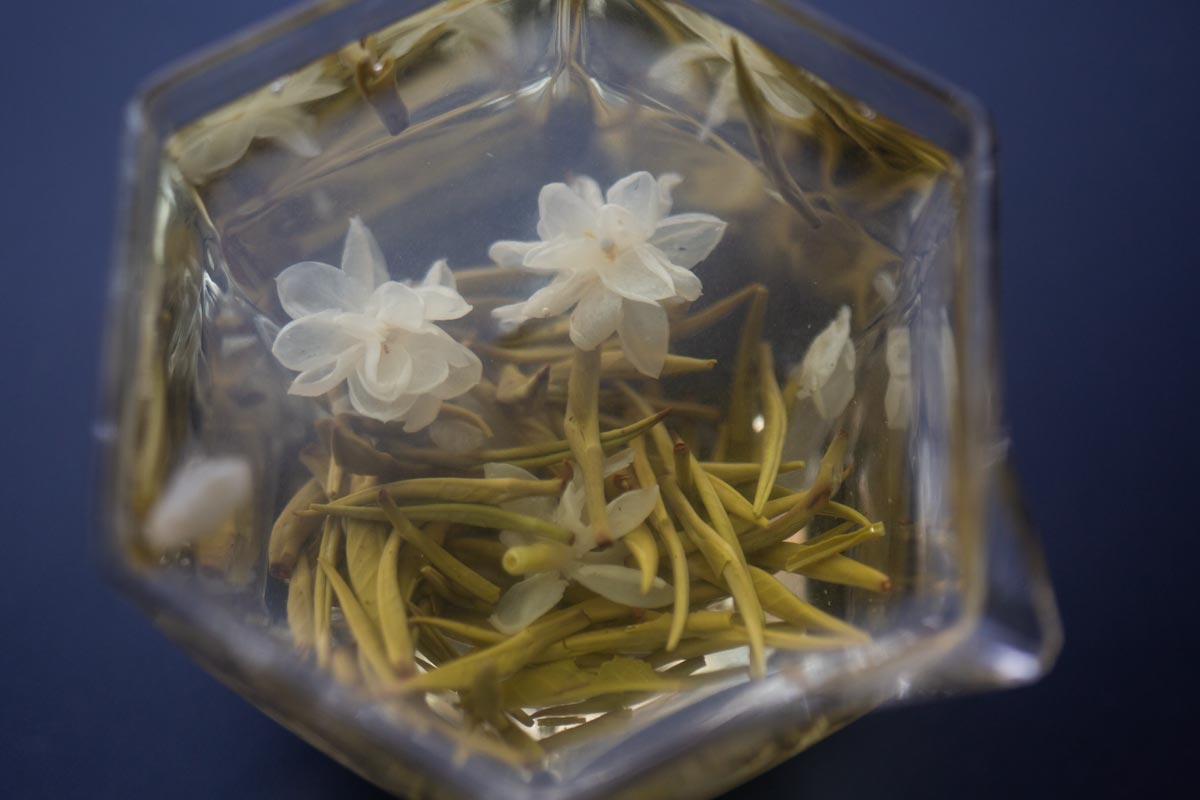 whisper in the night 2026 spring jasmine green tea 3 | BITTERLEAF TEAS
