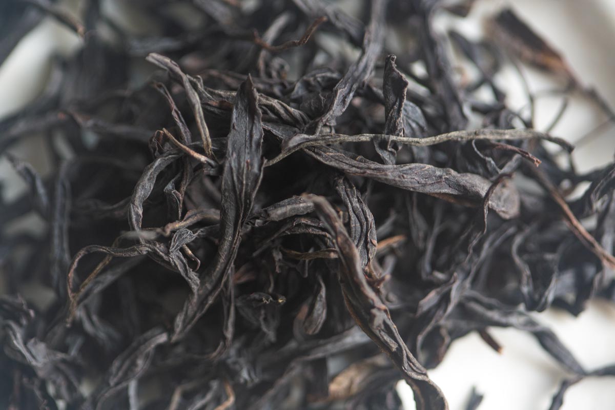 cinnamon sky 2026 spring rougui dancong oolong 3 | BITTERLEAF TEAS cinnamon sky 2026 spring rougui dancong oolong 3 | BITTERLEAF TEAS