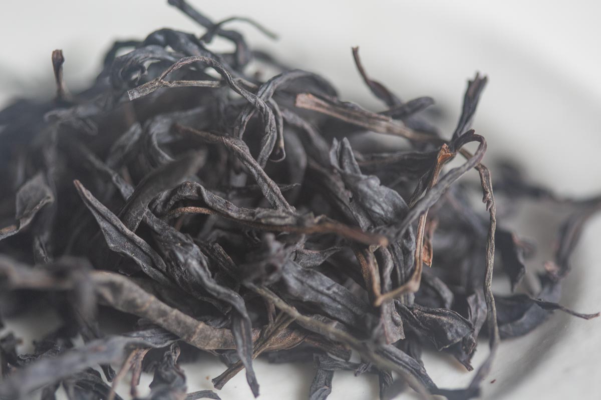 cinnamon sky 2026 spring rougui dancong oolong 5 | BITTERLEAF TEAS cinnamon sky 2026 spring rougui dancong oolong 5 | BITTERLEAF TEAS