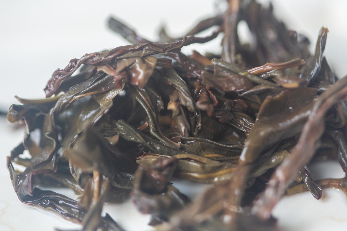 cinnamon sky 2026 spring rougui dancong oolong 6 | BITTERLEAF TEAS cinnamon sky 2026 spring rougui dancong oolong 6 | BITTERLEAF TEAS