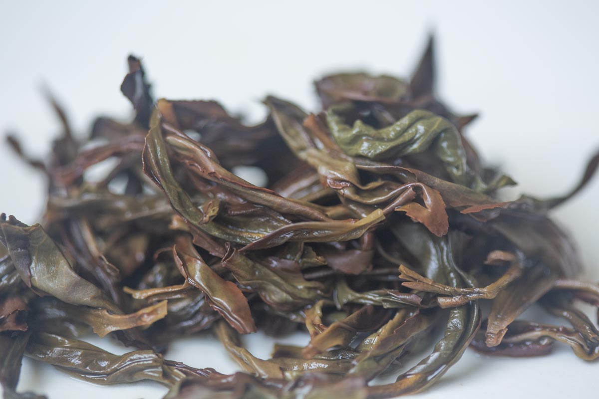 Citrus Grandis 2026 Spring Youhua Xiang Dancong Oolong
