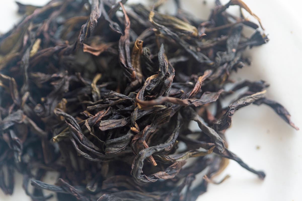 cream 2026 spring organic aofuhou dancong oolong 3 | BITTERLEAF TEAS
