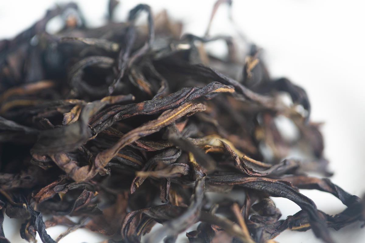 cream 2026 spring organic aofuhou dancong oolong 5 | BITTERLEAF TEAS